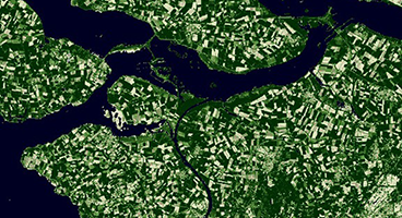 Screenshot Copernicus Browser: Frankfurt